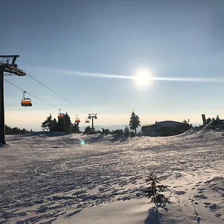 Forest -sauna By Interhome Apartmán Jáchymov