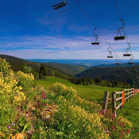 Forest -sauna By Interhome Apartmán